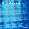 Various Artists - Electro Voices